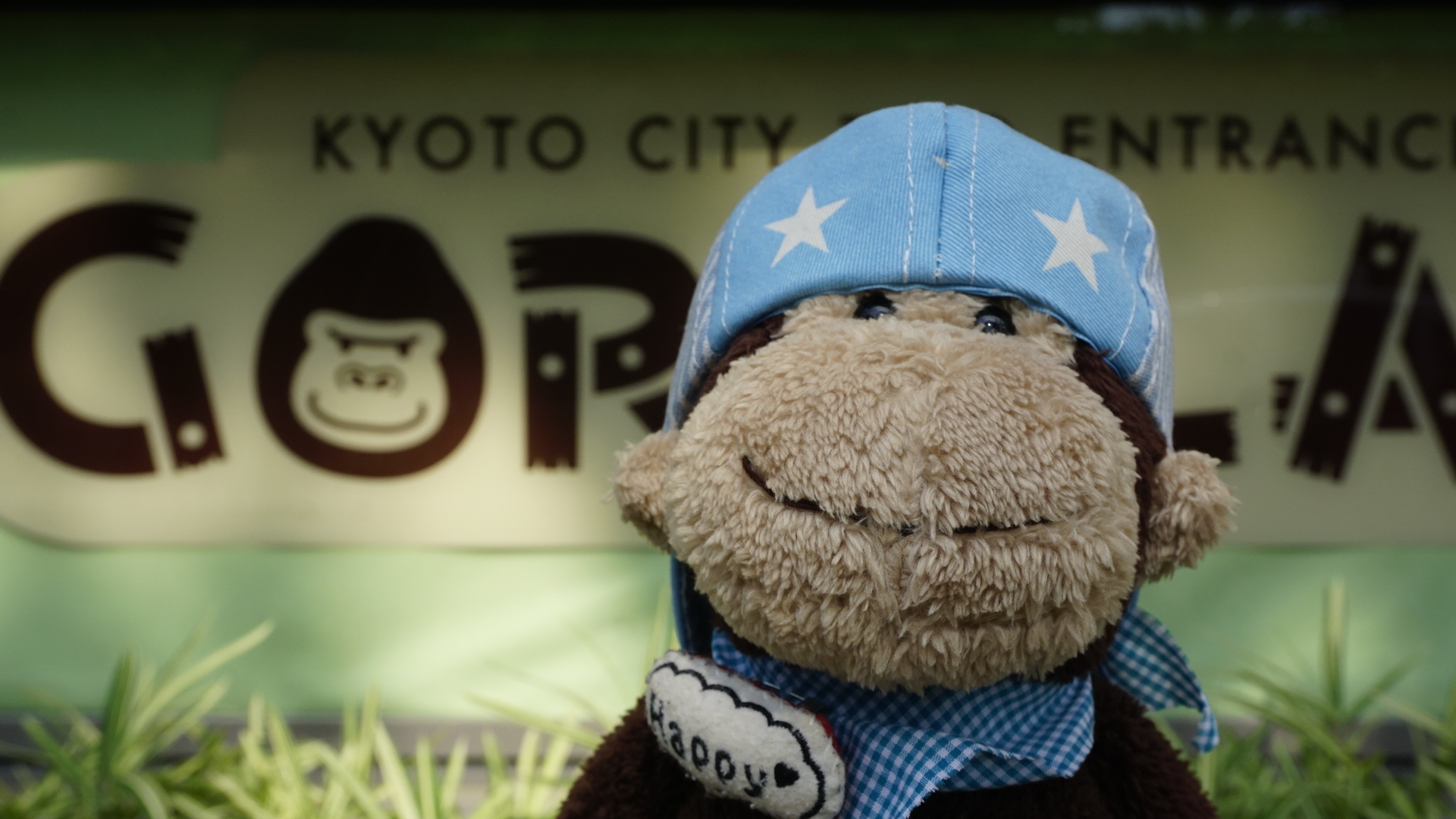 京都動物園のショップでリンちゃんの販売が始まりました！