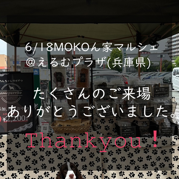 ご来場いただきありがとうございました！【6/18(日)MOKOん家 ワンマルシェ @えるむプラザ】