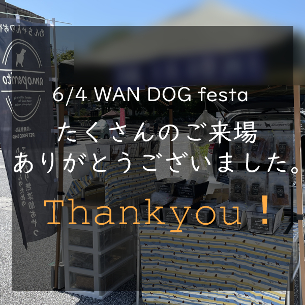 ご来場いただきありがとうございました！【6/4WAN DOG Festa＠服部緑地】