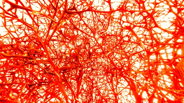 「若年性認知症は3万人以上。世代を問わず今すぐ始めたい、脳のゴミを溜めない習慣」