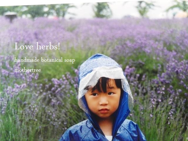 Love herbs／lavender&chamomileの石鹸メイキング
