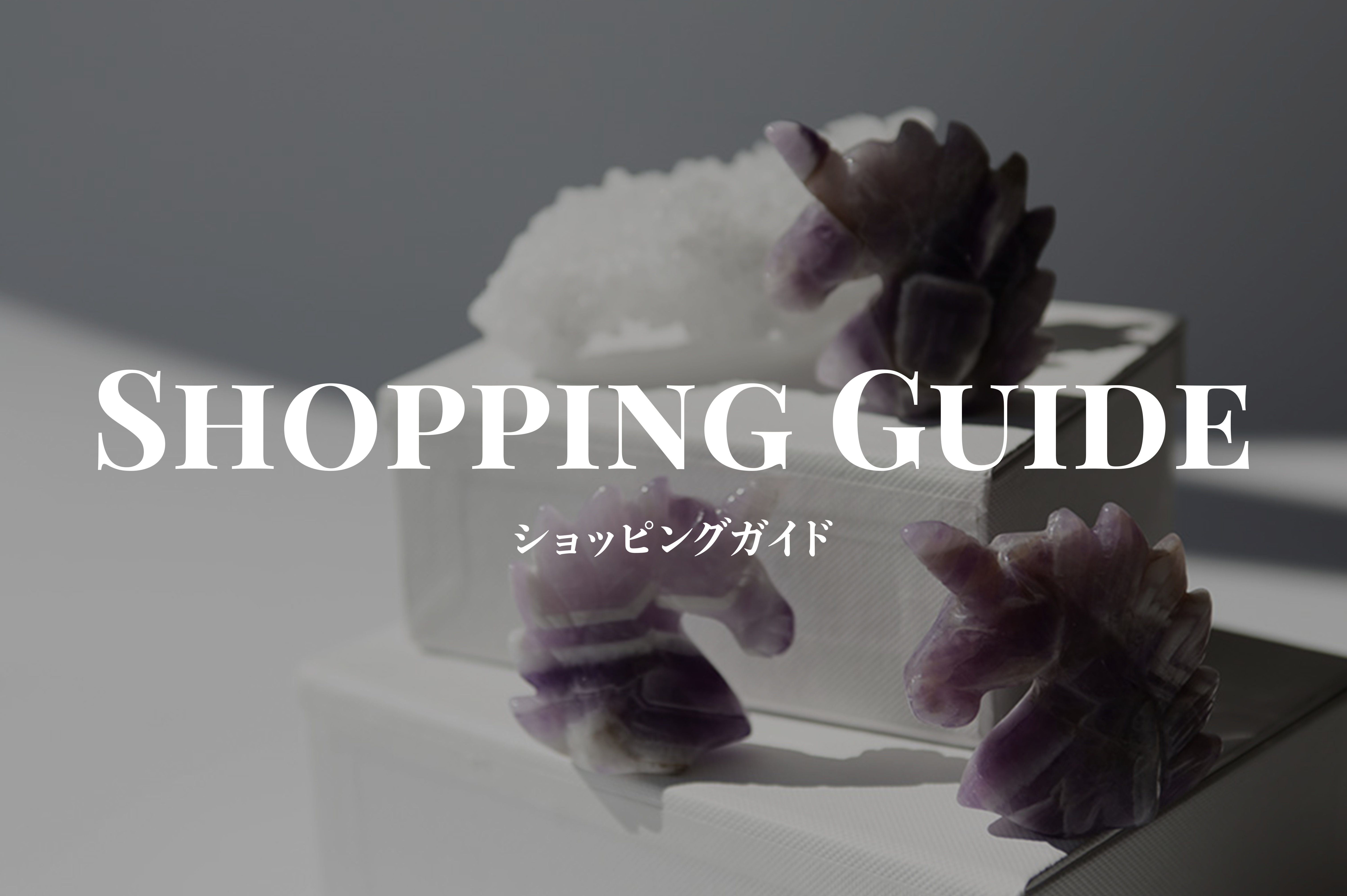 ショッピングガイド