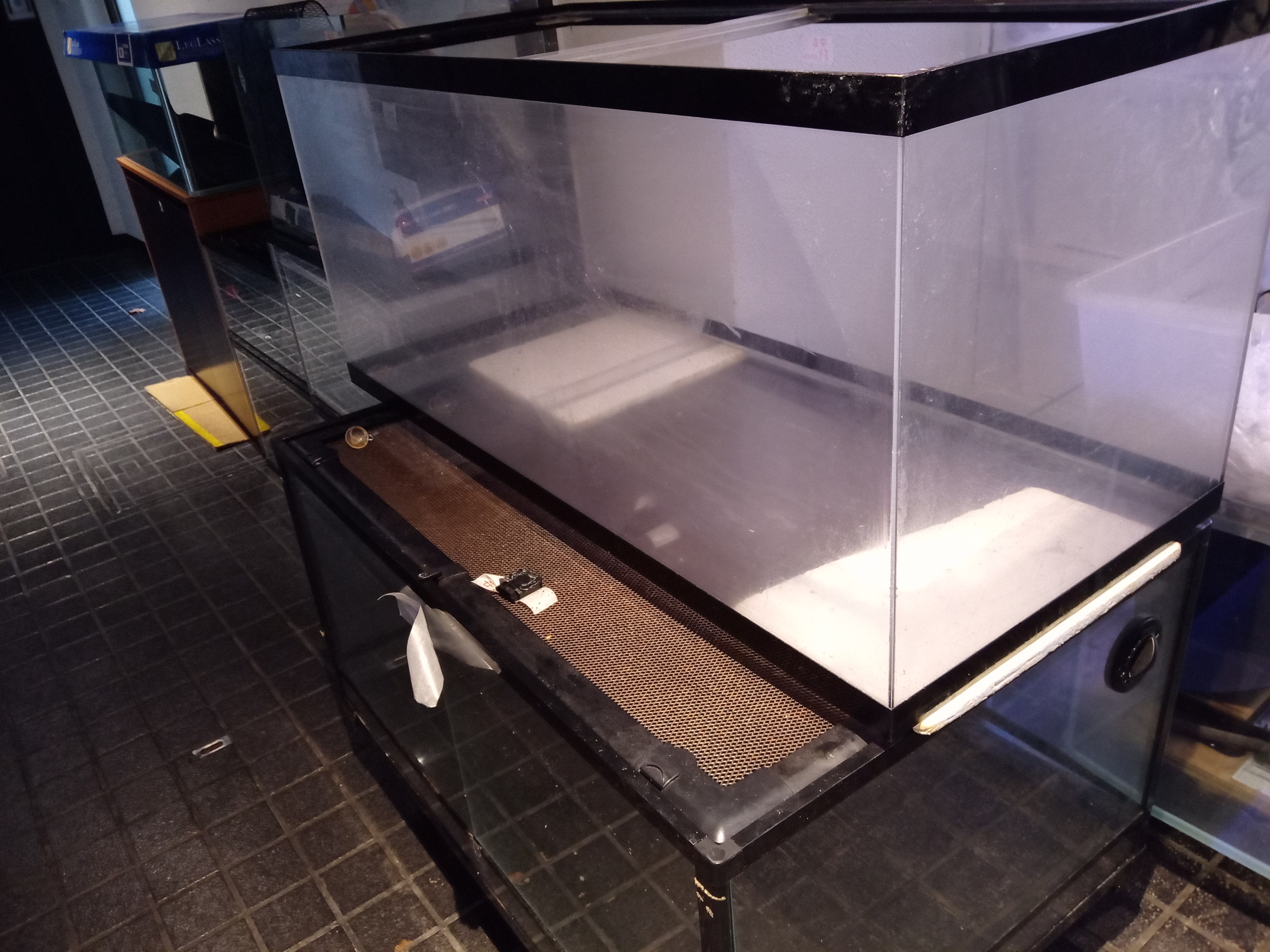静岡の熱帯魚屋さんミクロの中古。