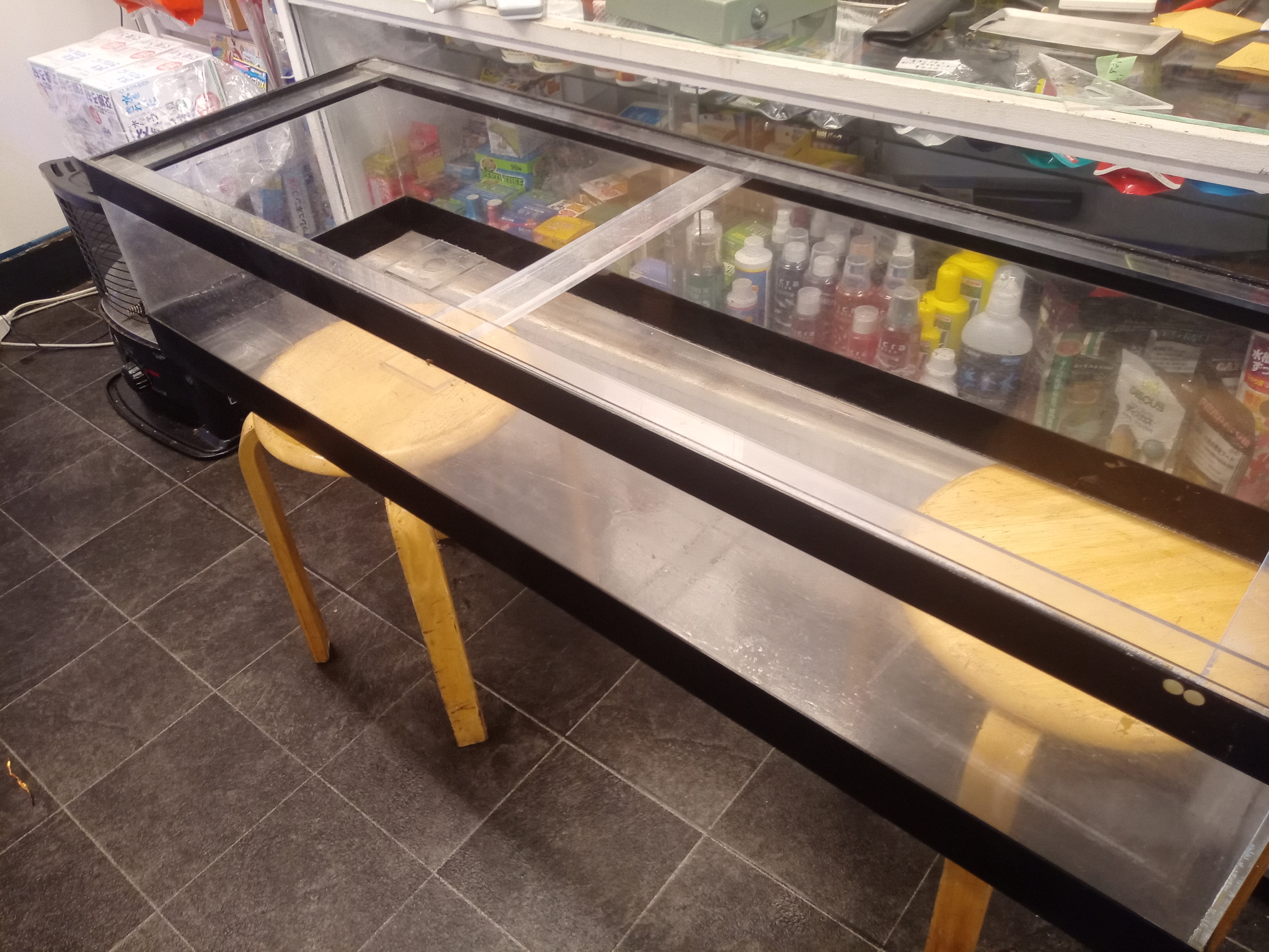 静岡の熱帯魚屋さんミクロの中古。