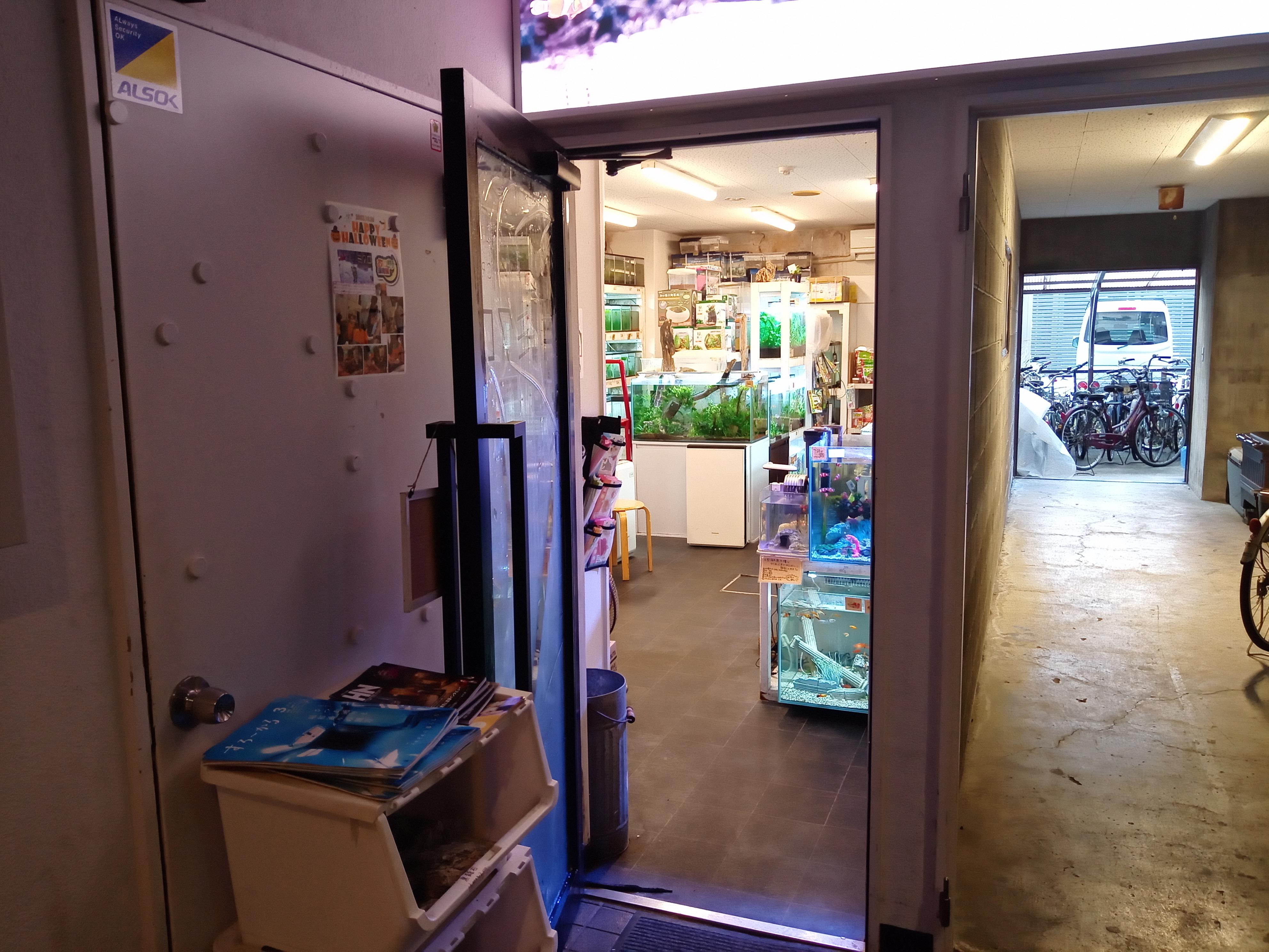 静岡の熱帯魚屋さんミクロ。