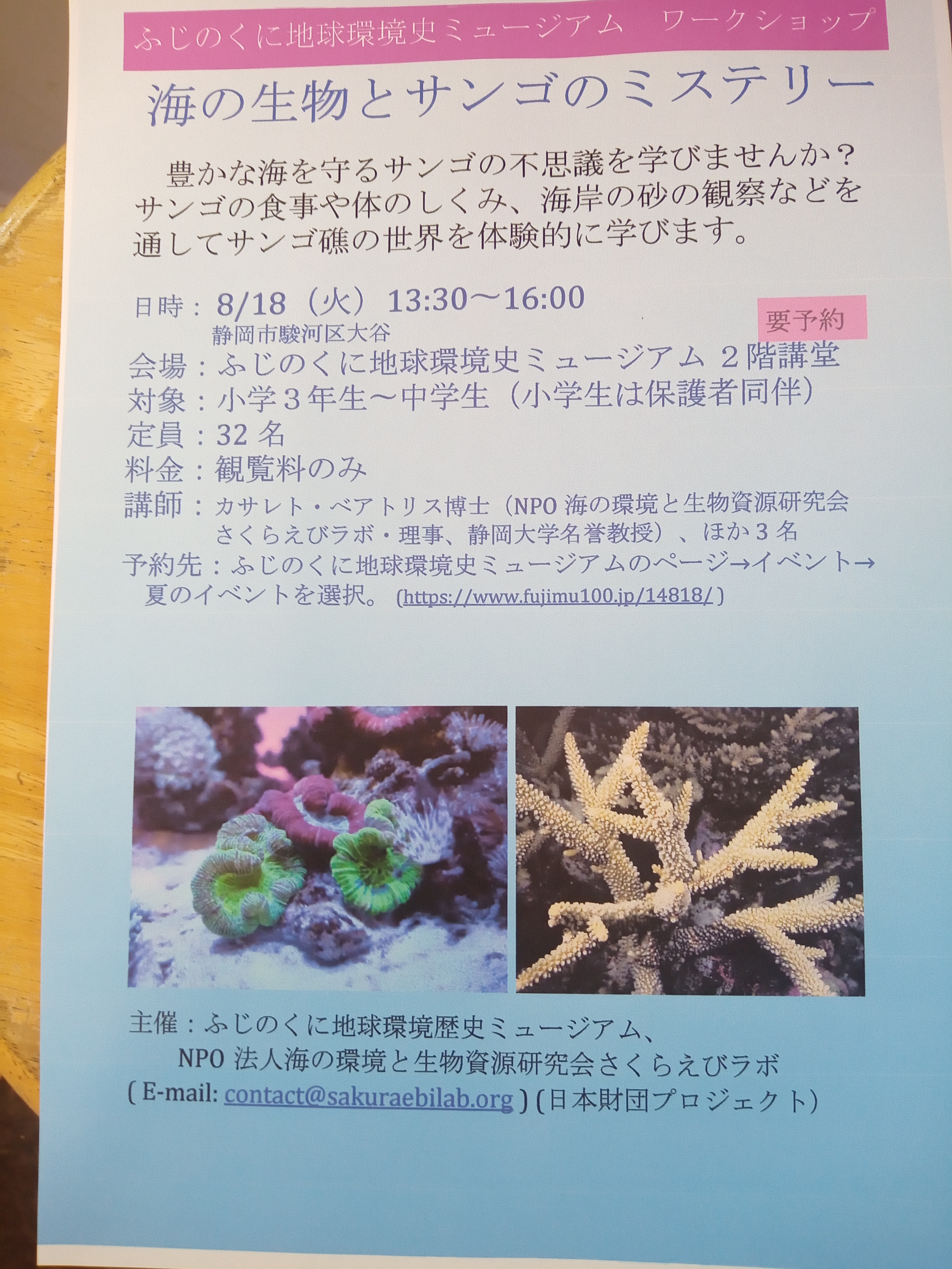 静岡の海水魚屋さんミクロのイベントのお手伝い。