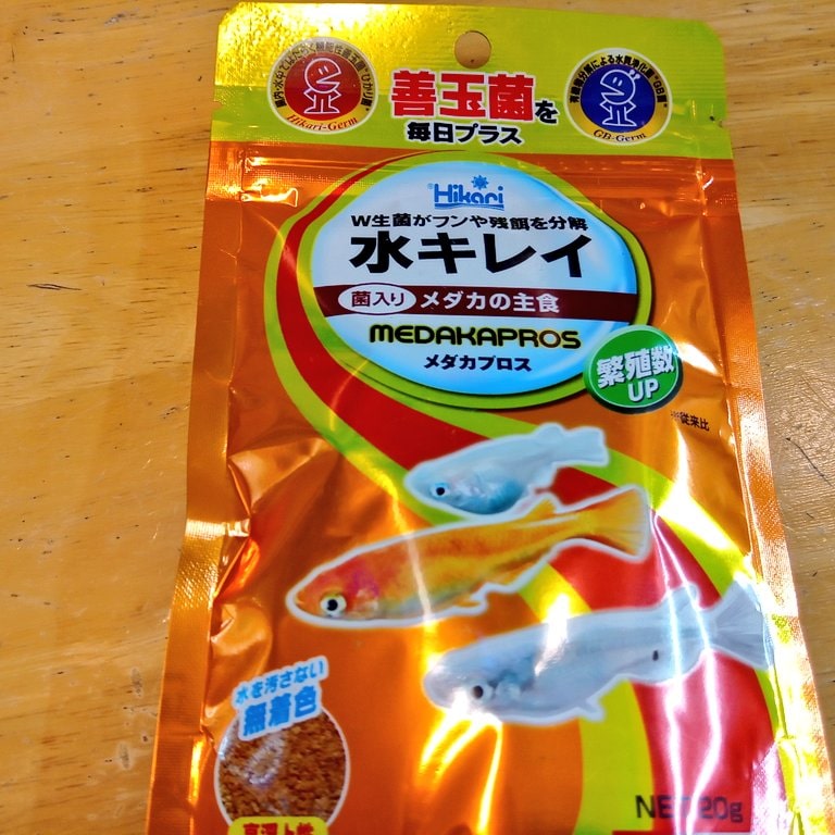 静岡の熱帯魚屋さんミクロの売れ筋商品。