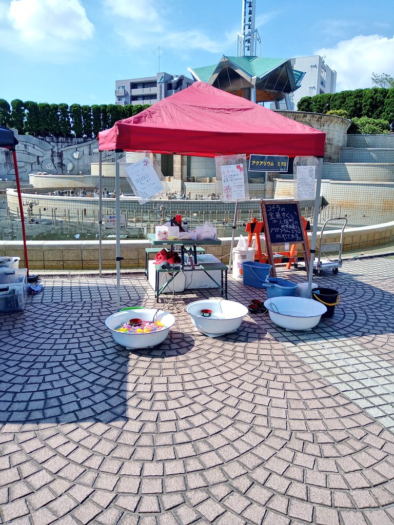 静岡の熱帯魚屋さんミクロのイベント出店。
