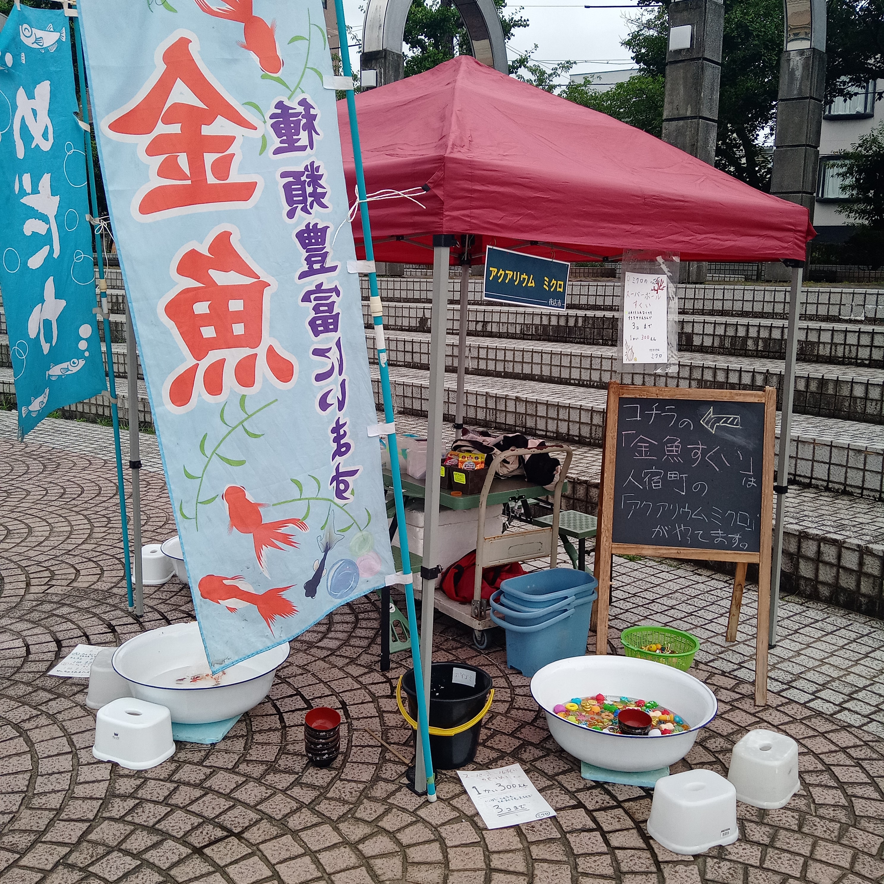 静岡の熱帯魚屋さんミクロのイベント出店。