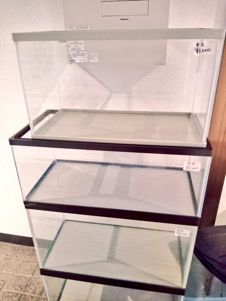 静岡の熱帯魚屋さんミクロの中古。
