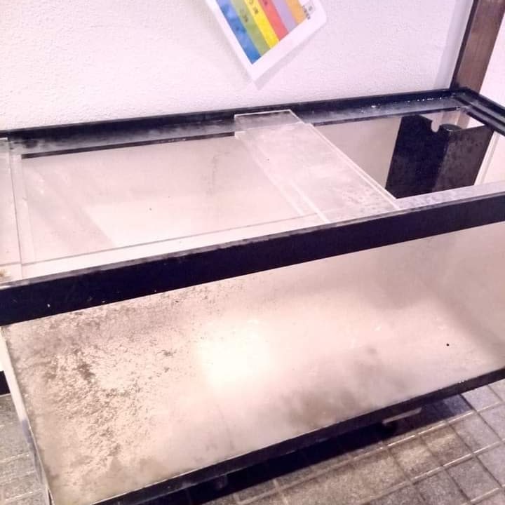 静岡の熱帯魚屋さんミクロの中古。