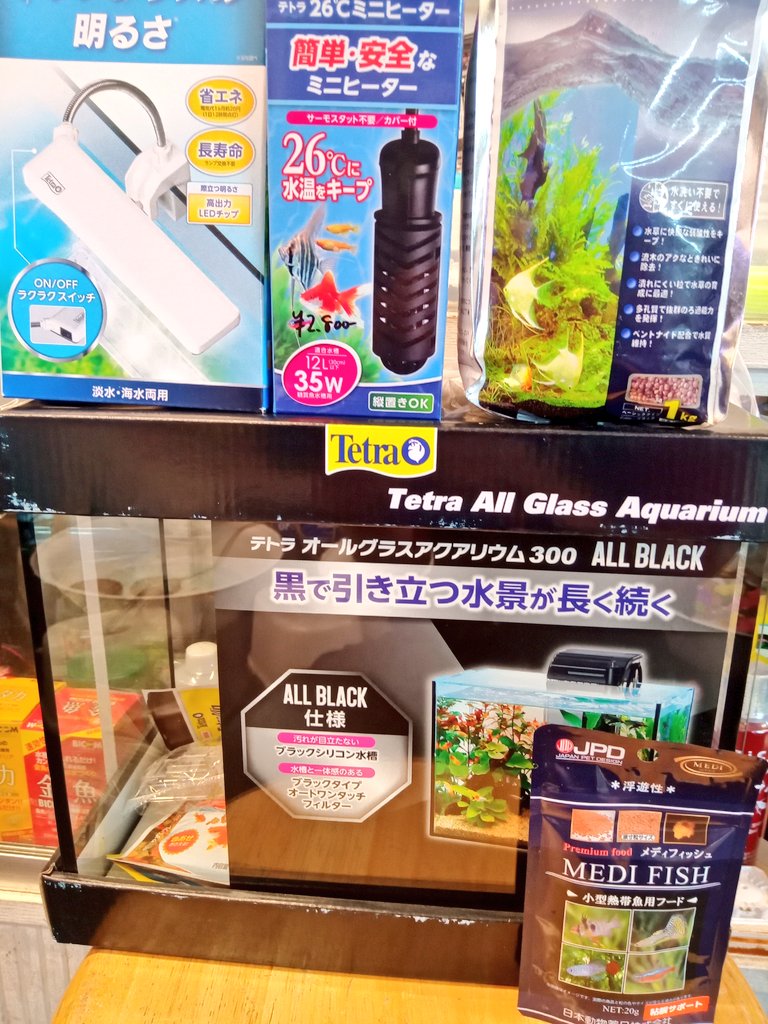 静岡の熱帯魚屋さんミクロで始める熱帯魚。