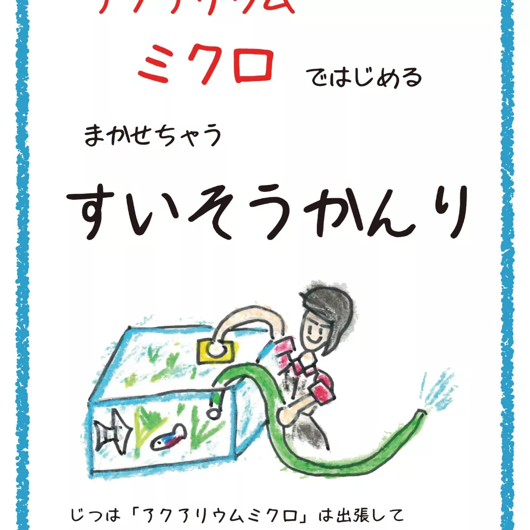静岡の熱帯魚屋さんミクロの水槽設置管理業務。