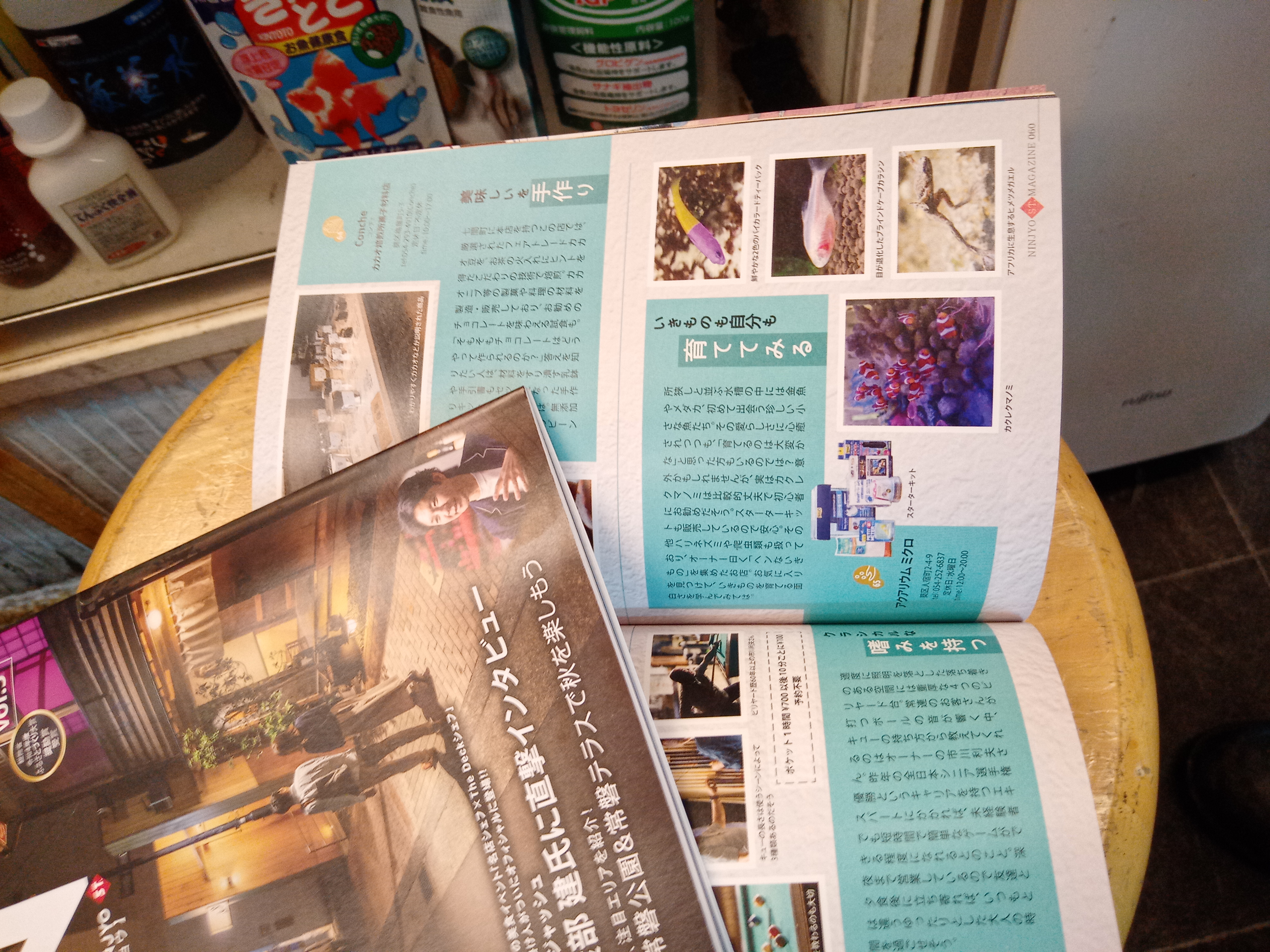 静岡の熱帯魚屋さんミクロの大失敗。
