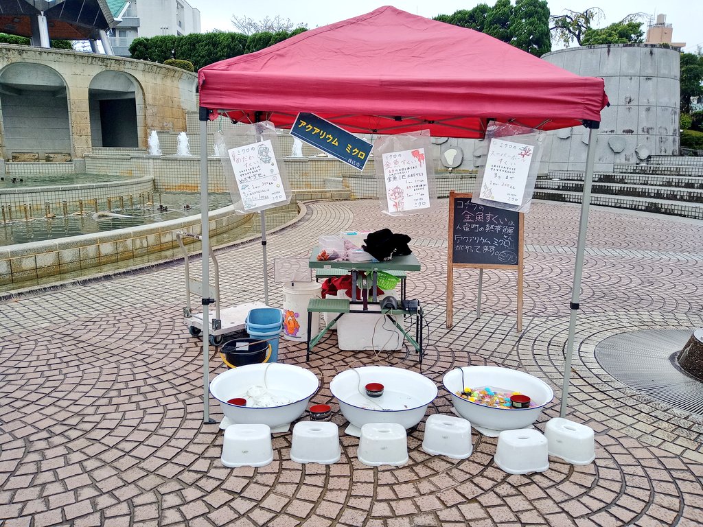 静岡の熱帯魚屋さんミクロのイベント出店。