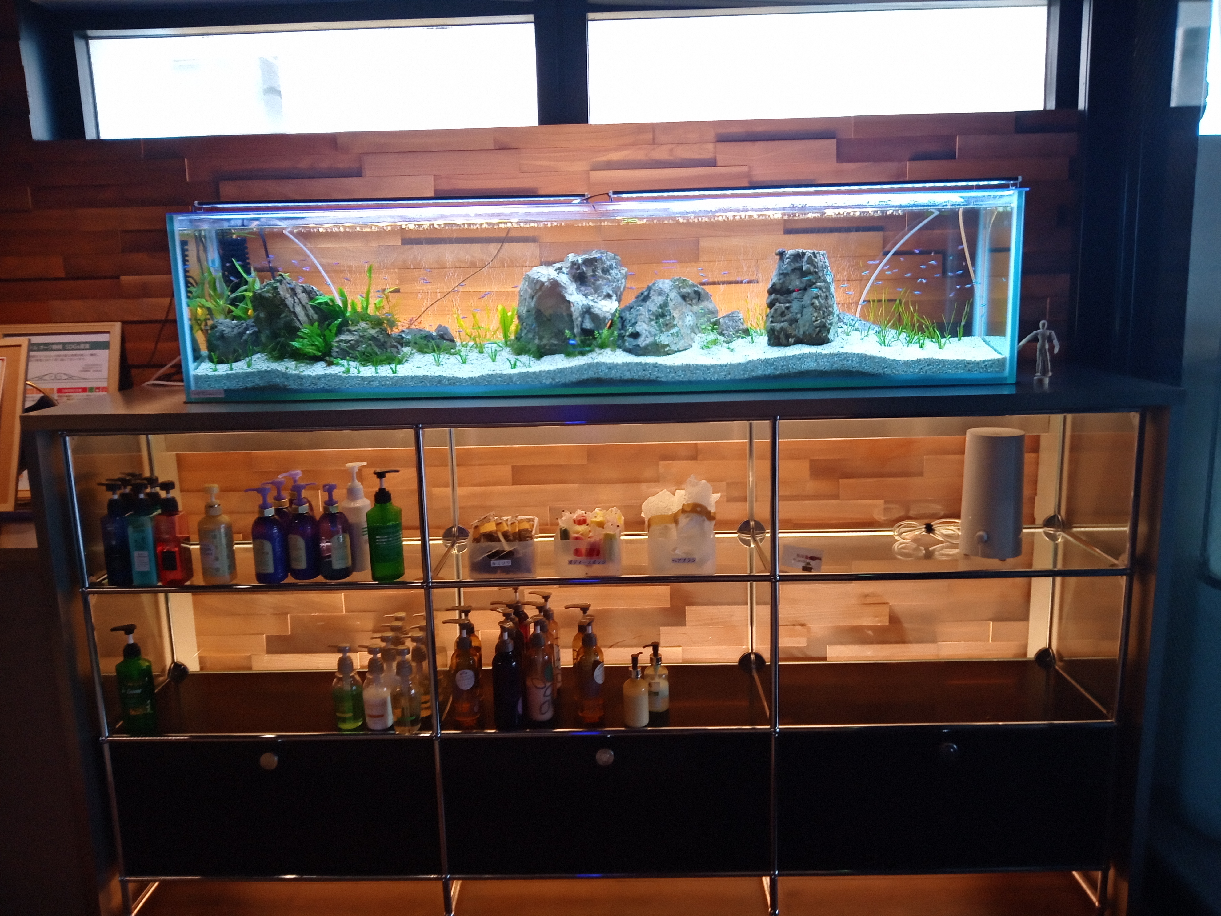 静岡の熱帯魚屋さんミクロのオーダーメイド水槽。