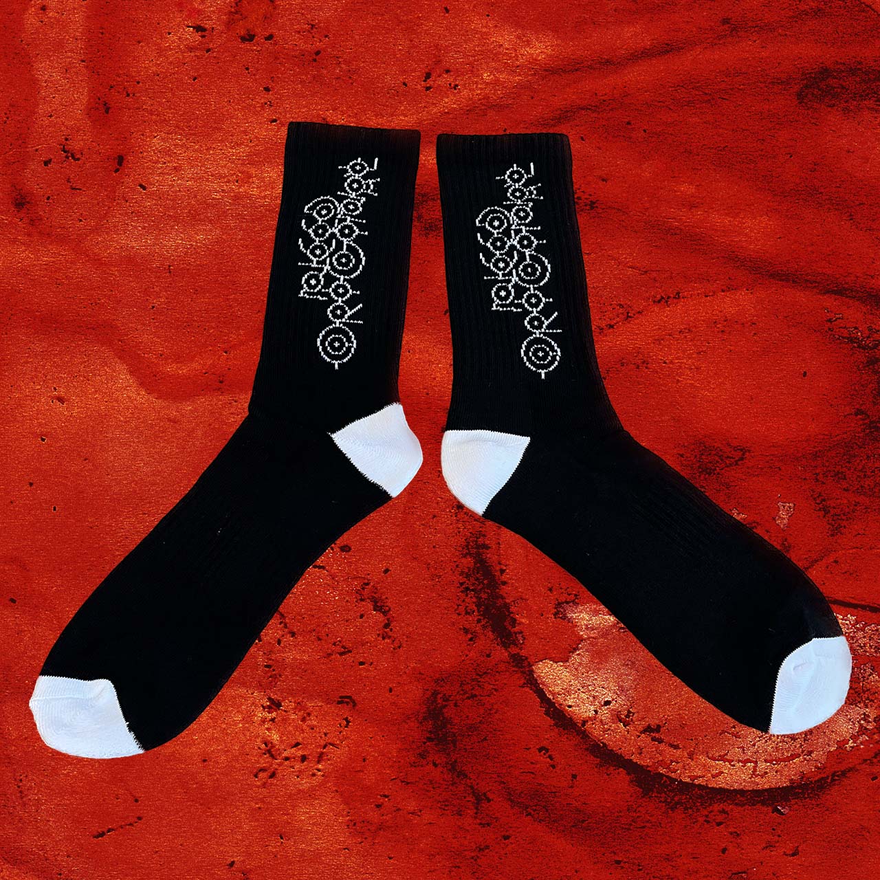 ・ソックス再入荷 /coming soon..