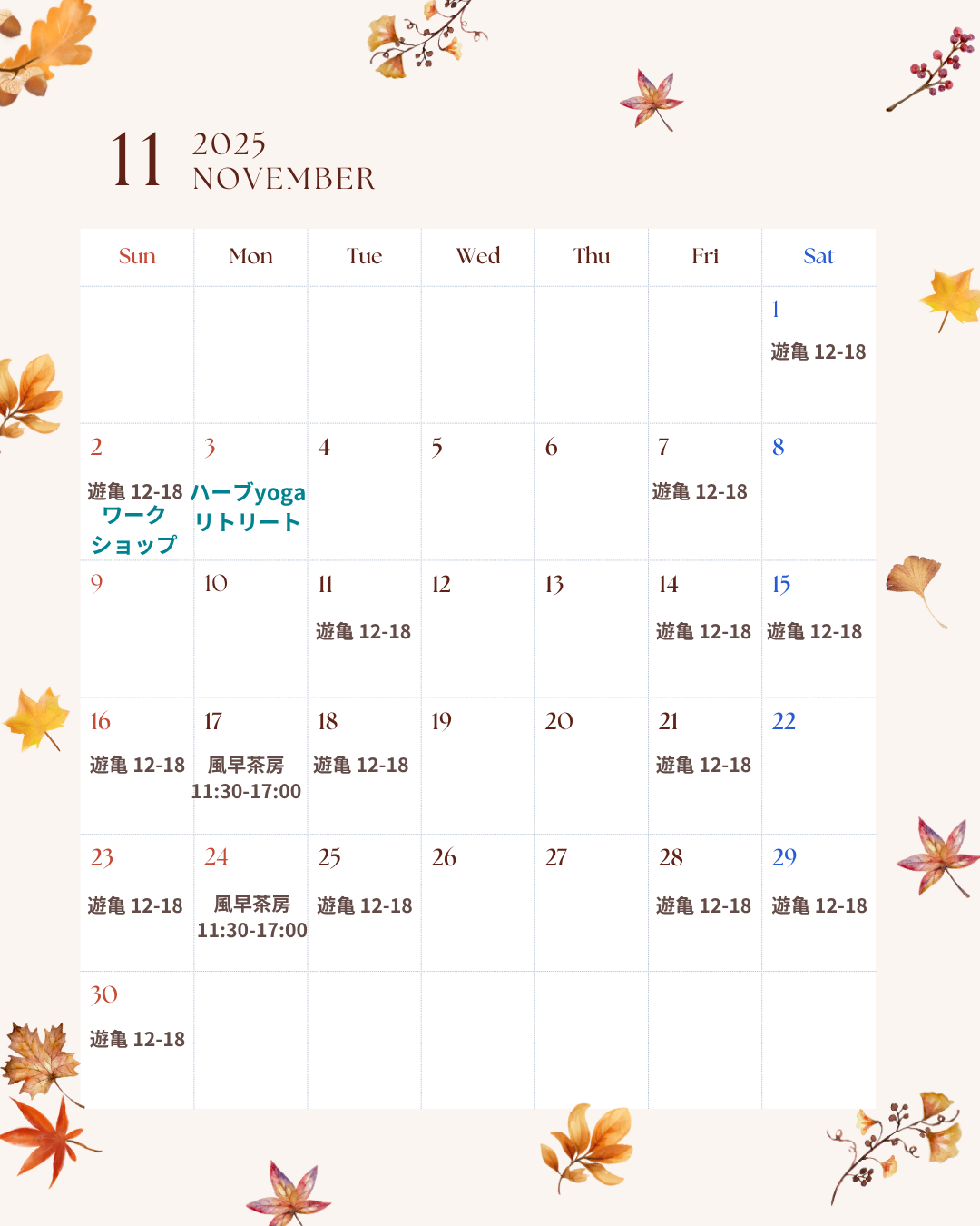 11月の店舗入店スケジュール