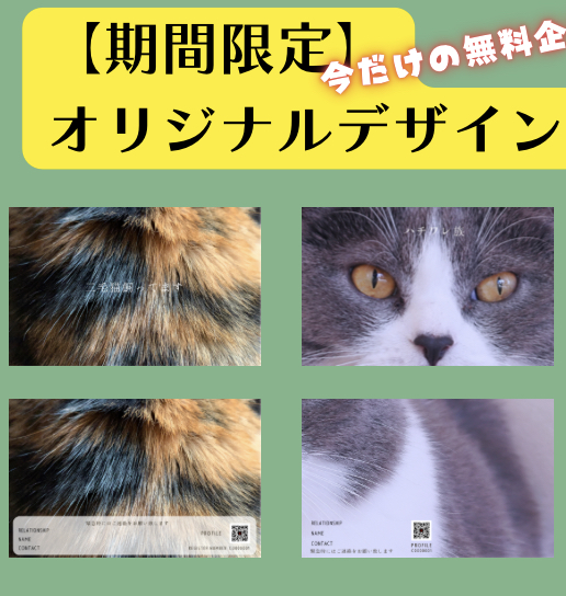 オリジナルデザイン期間限定無料中✨✨