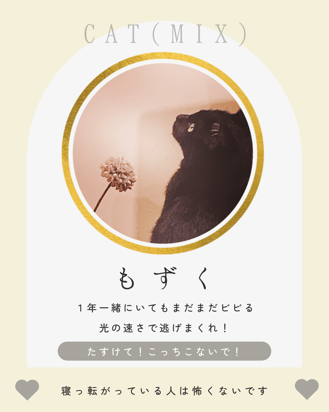 QRから飛んだ先の情報ページ