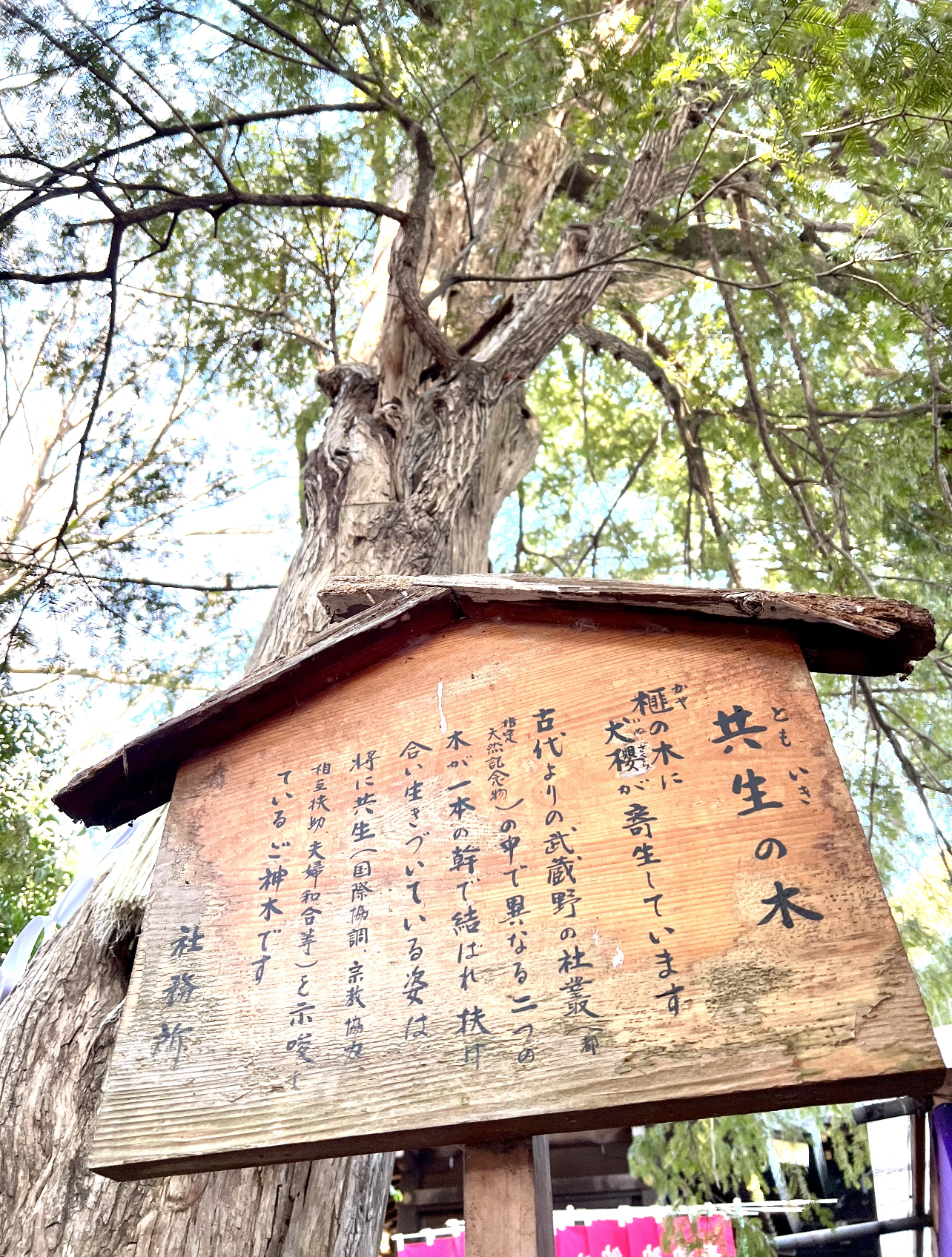 TOMOIKI‐Live Together-自己紹介