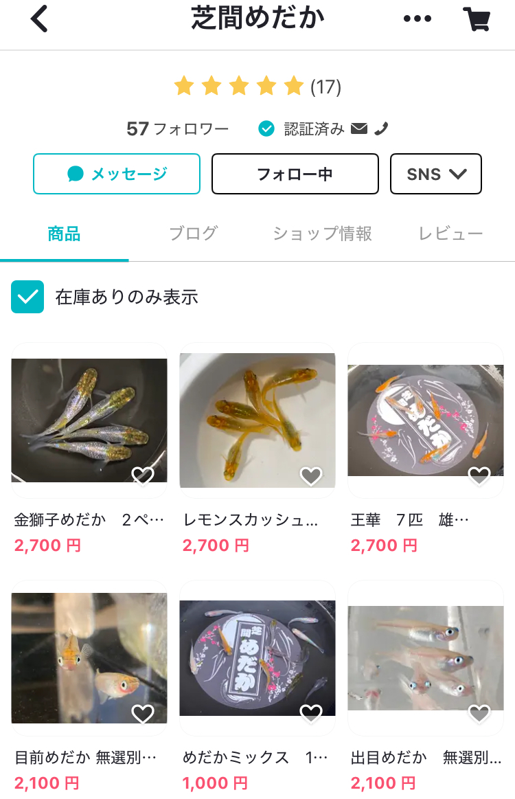 サマーセール開催中🍉