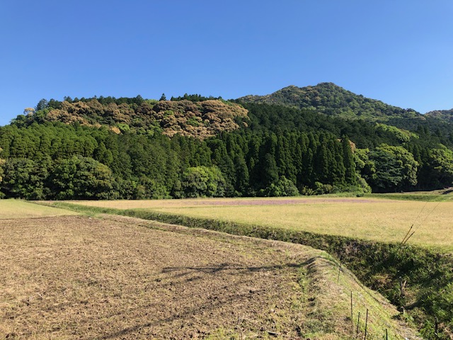大日窯近辺の風景