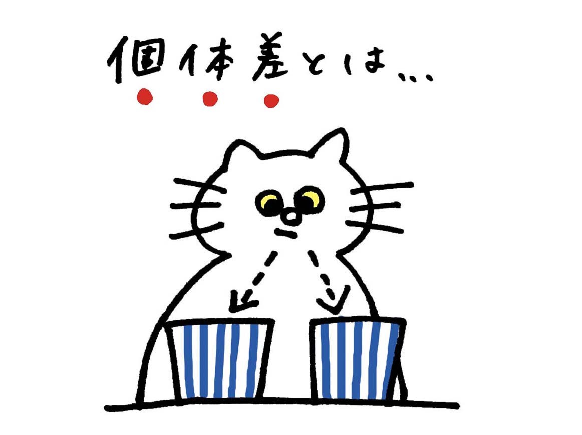 大日窯のうつわについて