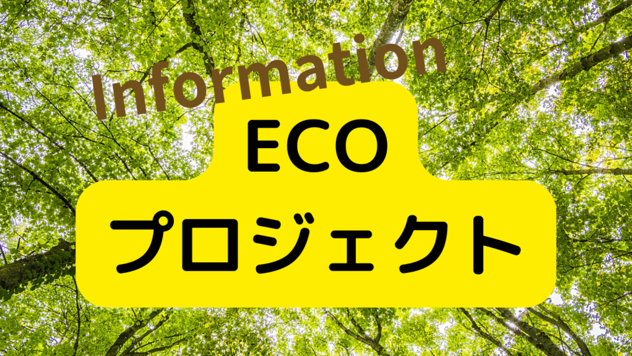 ECOプロジェクト