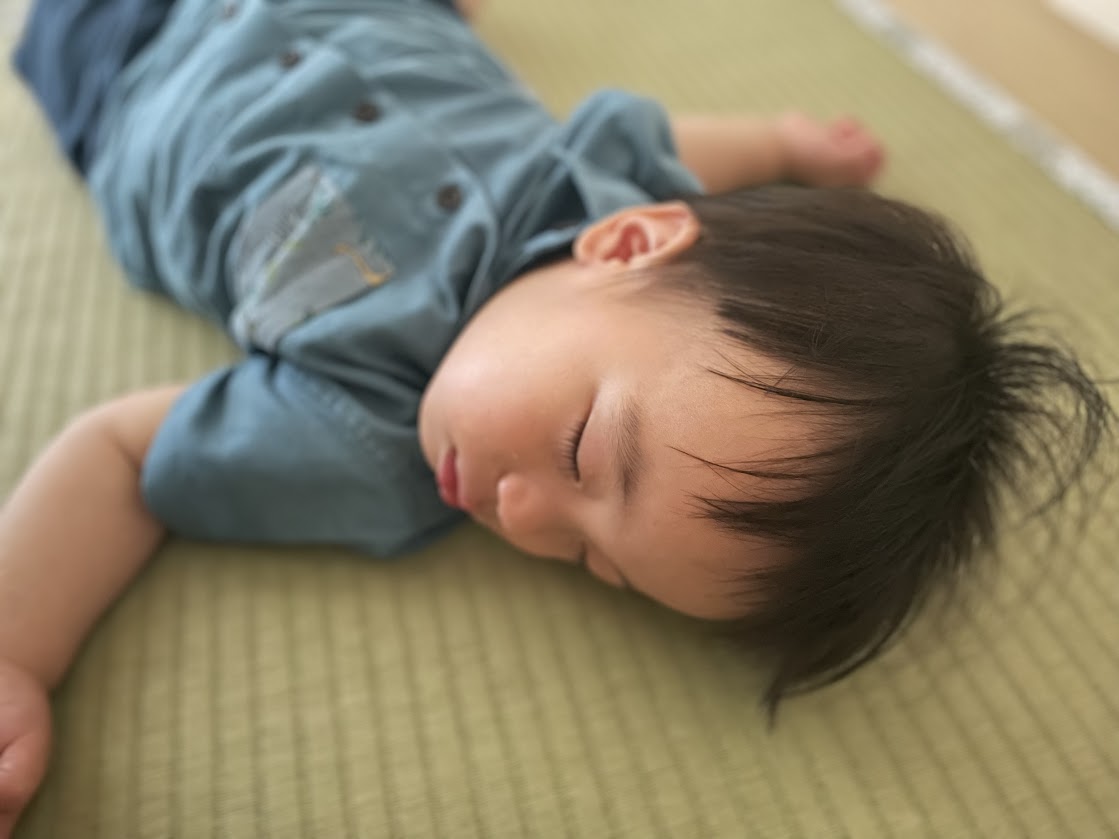 【日本の伝統文化】畳・い草のチカラがすごい！
