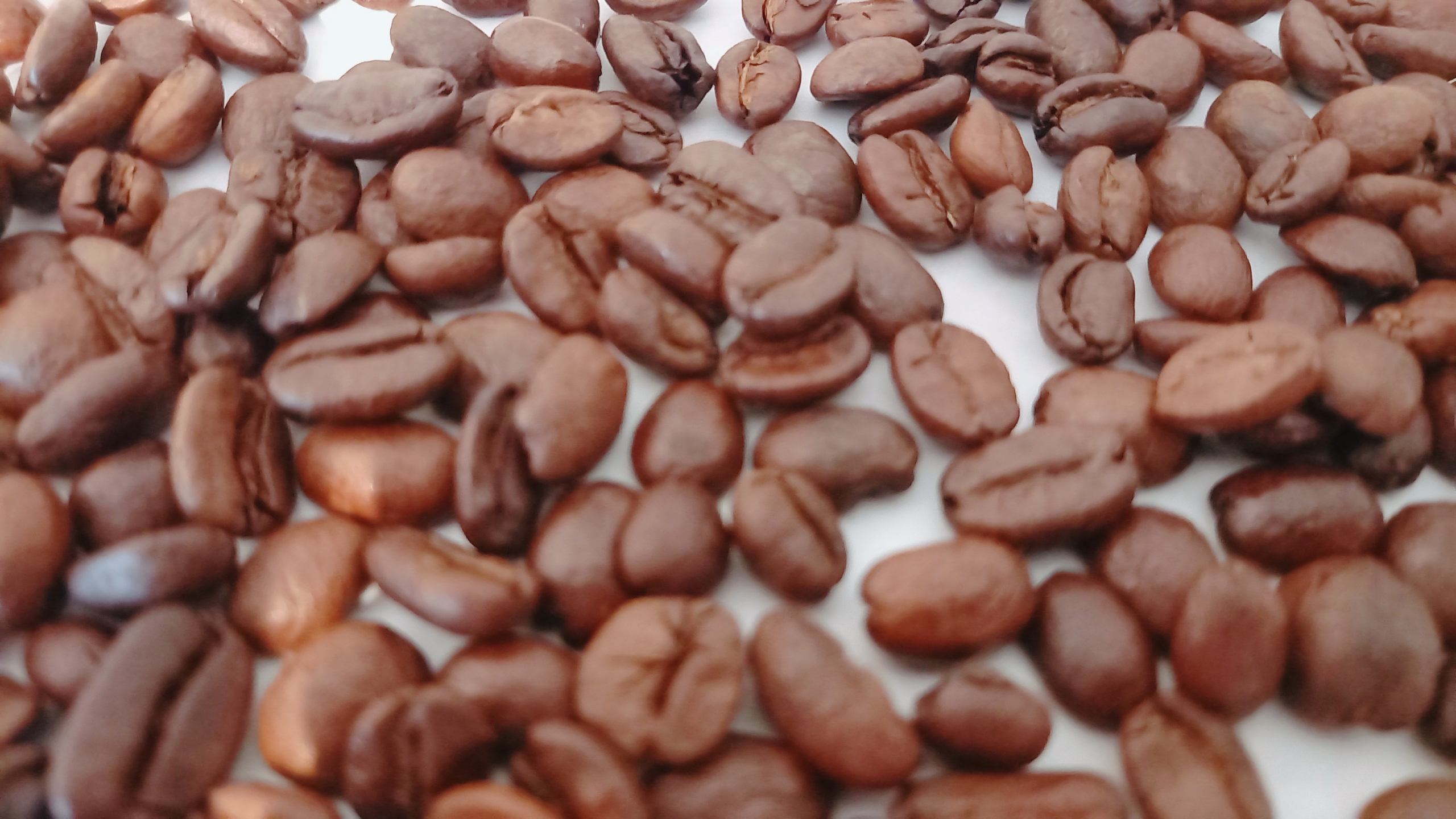 デカフェコーヒーのカフェイン含有率、ご存知ですか？