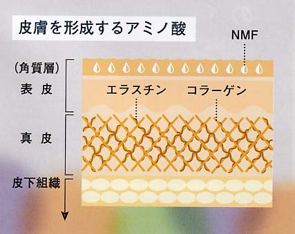 ●純粋なシルクで実感できる艶やかな素肌体験
