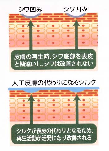 ●特許 アプリシャルシルキーエッセンス（美容液）