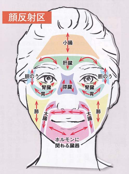 ●反射区を使って不調をケアして体調を整えましよう