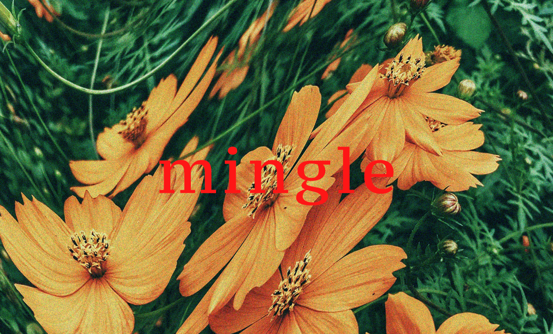 Hello! mingleです!