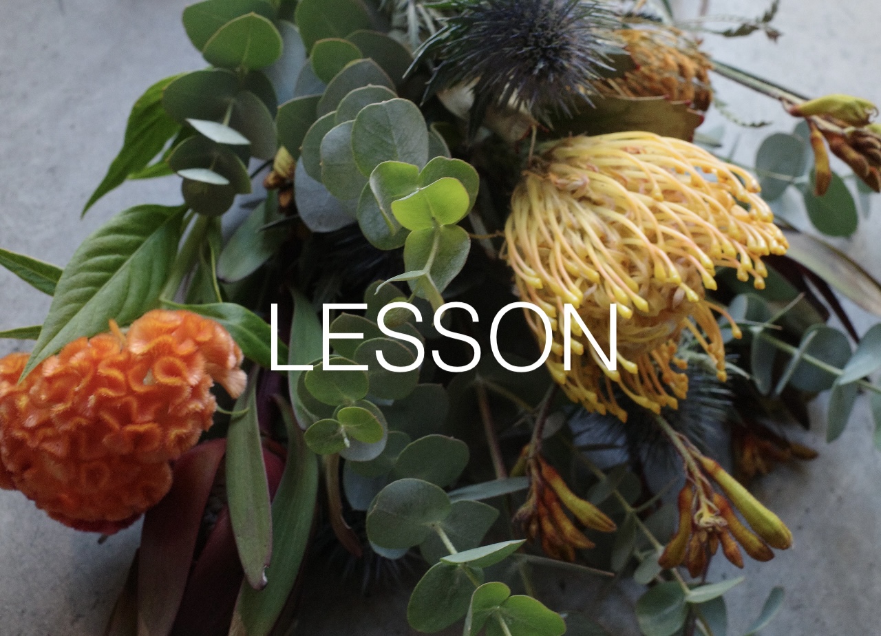 LESSONのお知らせ