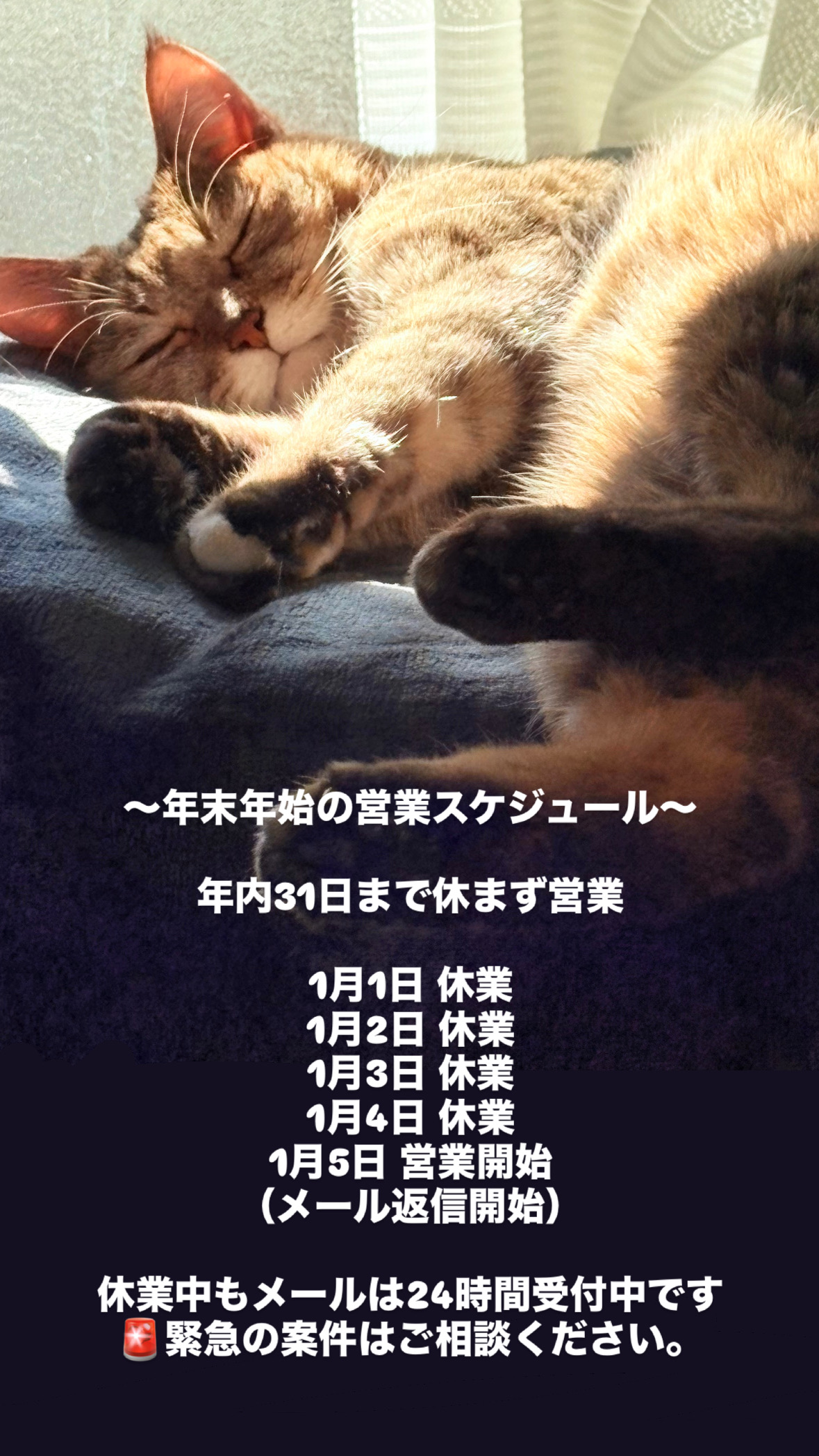 年末年始の営業🎍