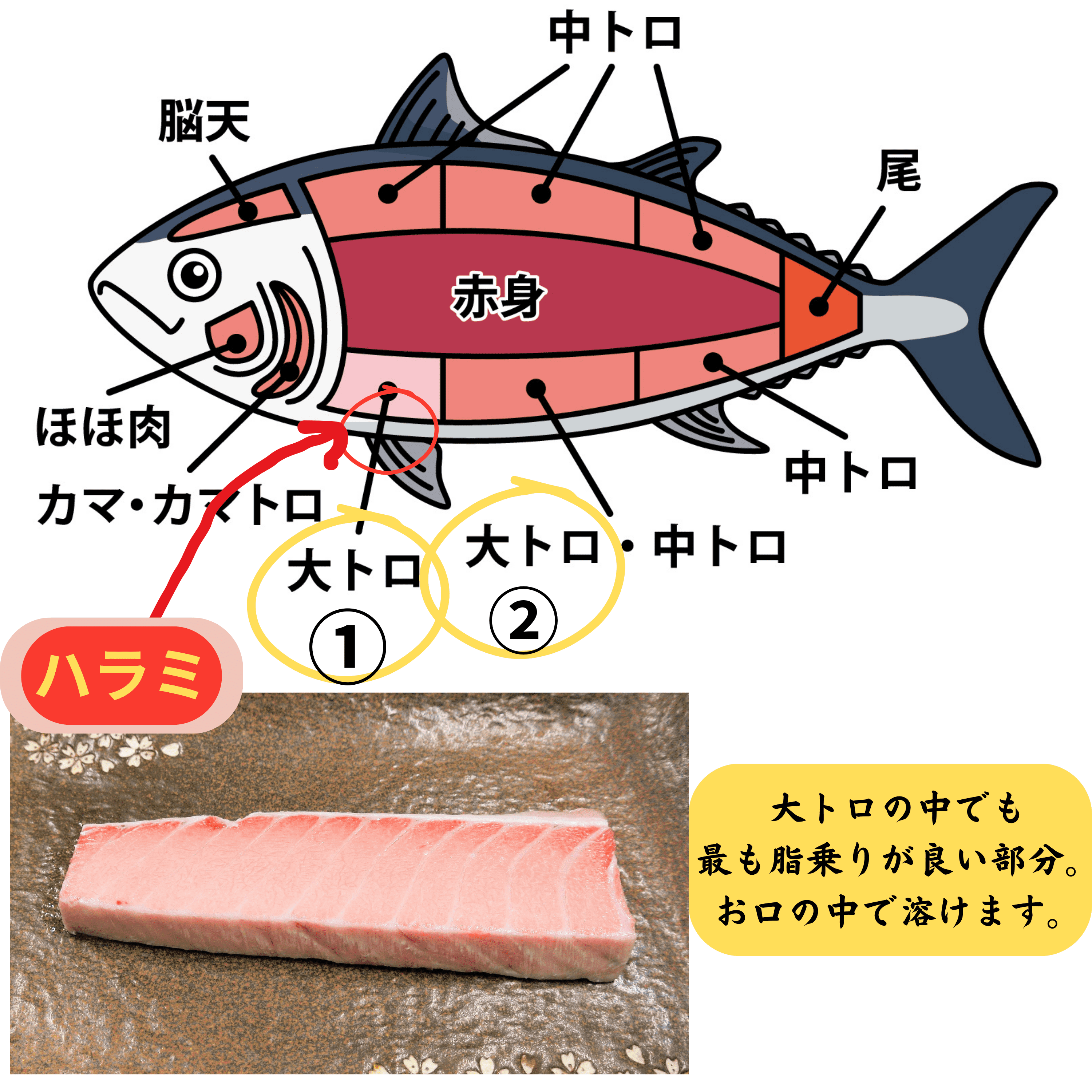 🌸とろける美味しさ！天然インド鮪のハラミ🌸