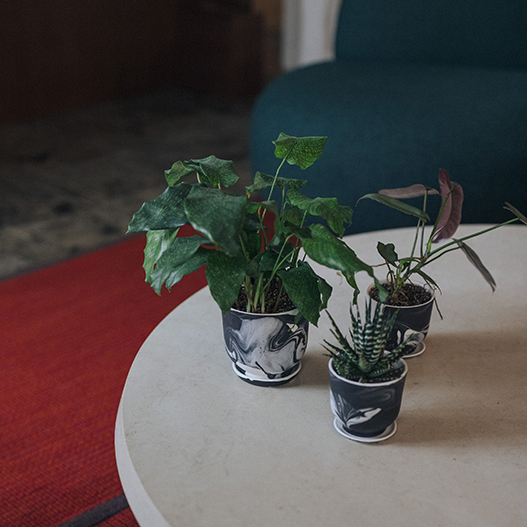 POPUP infomation＿2024.12/7~8＿K5