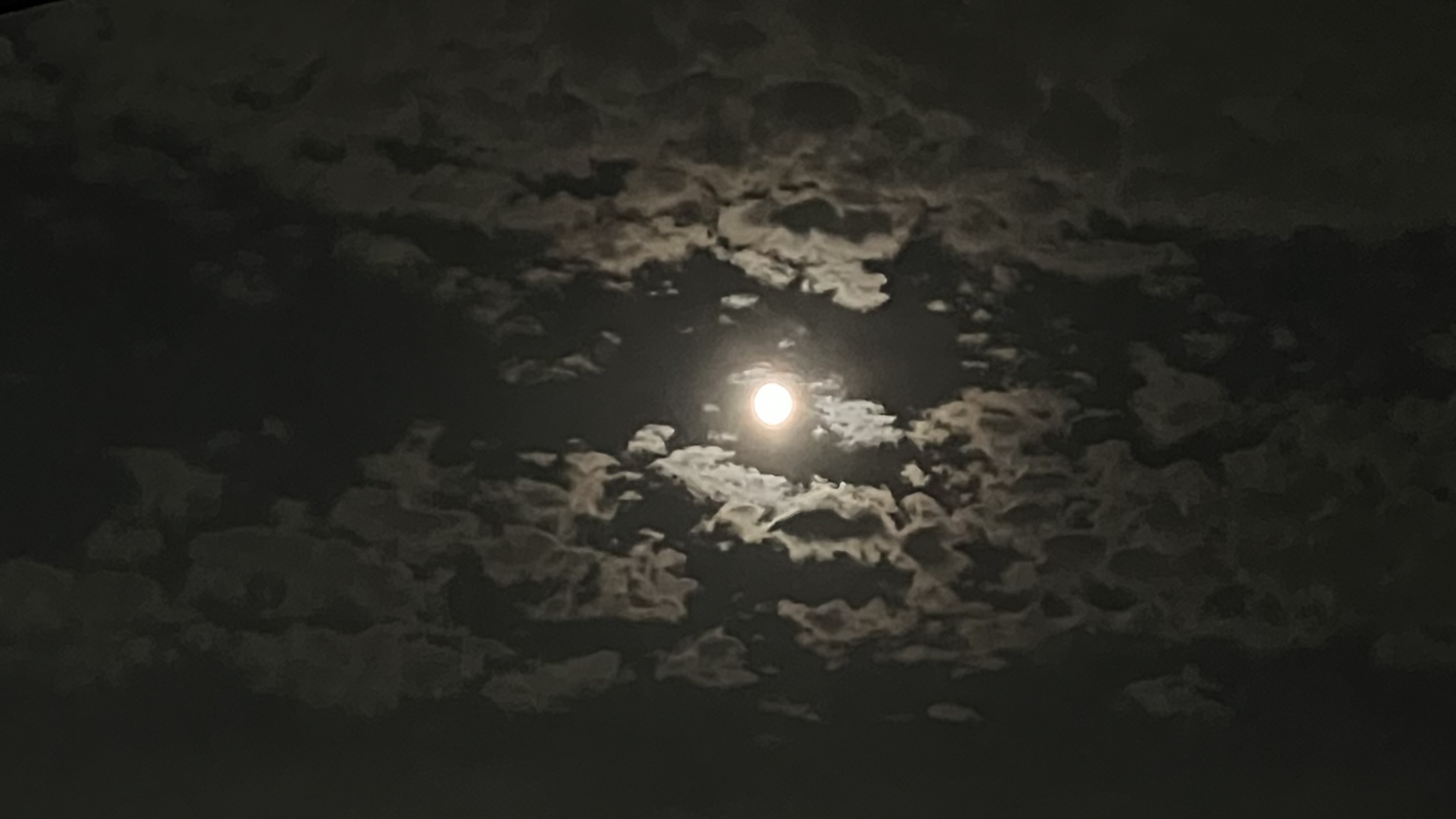 8/9はみずがめ座の満月