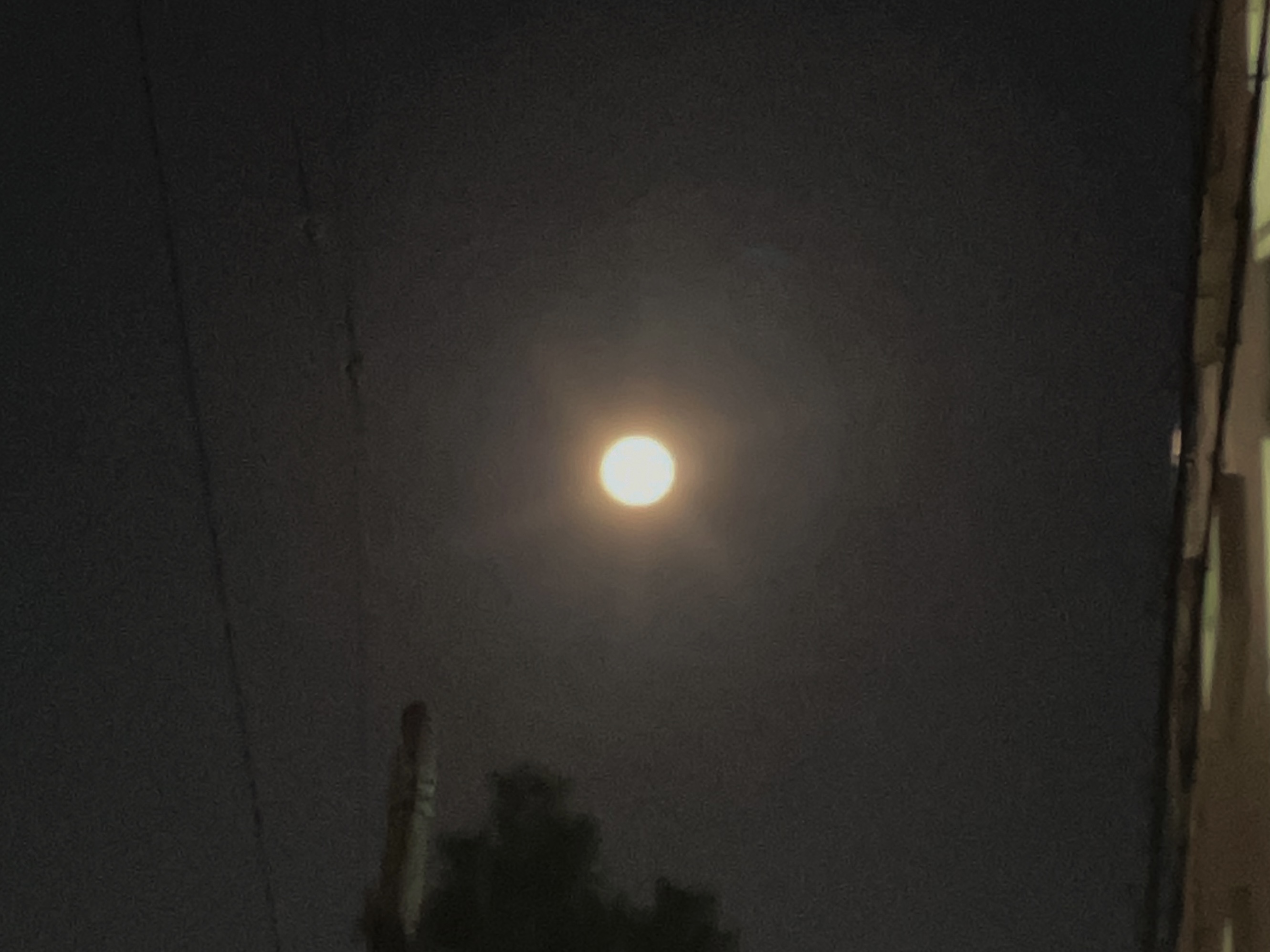 2/12はしし座の満月