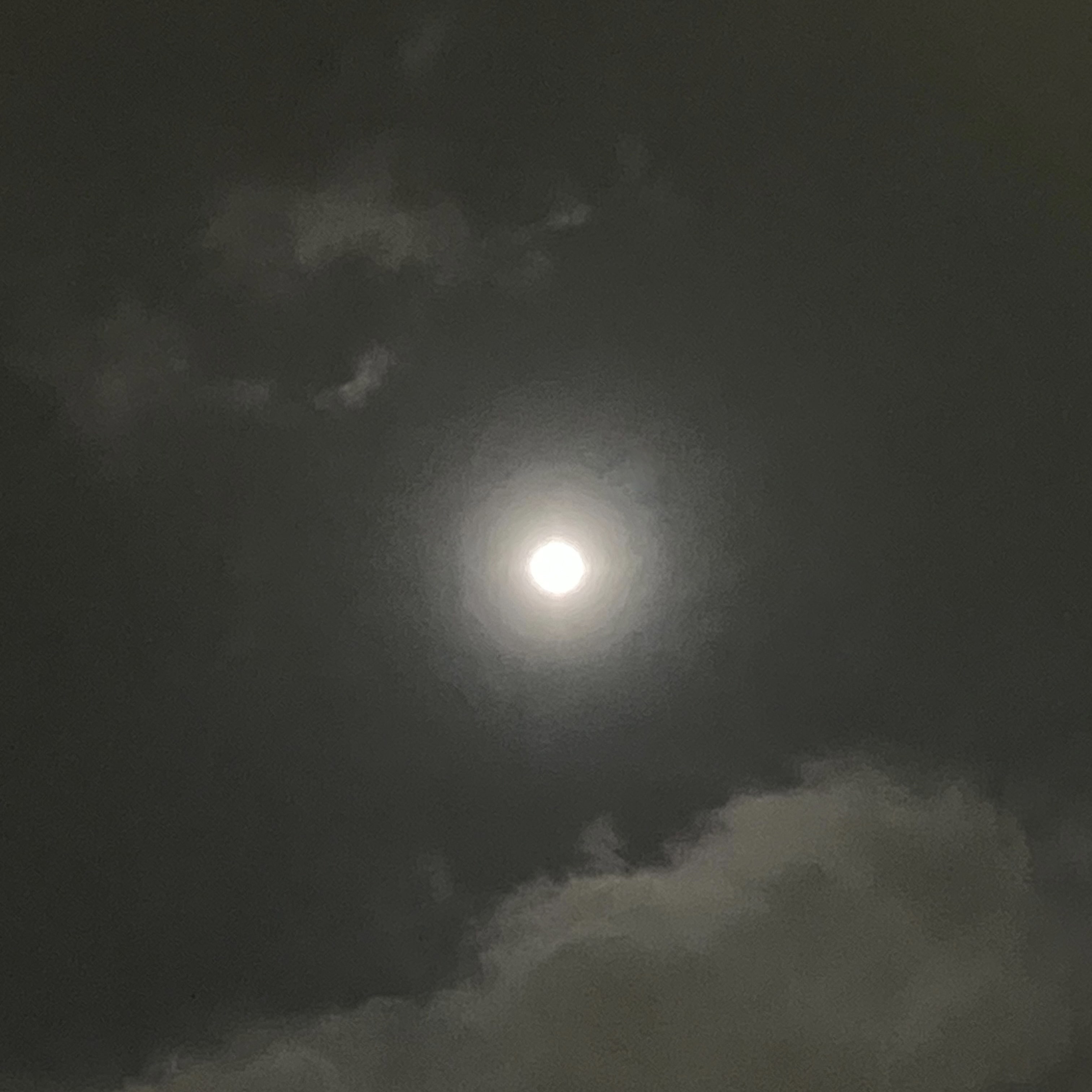 1/14はかに座の満月