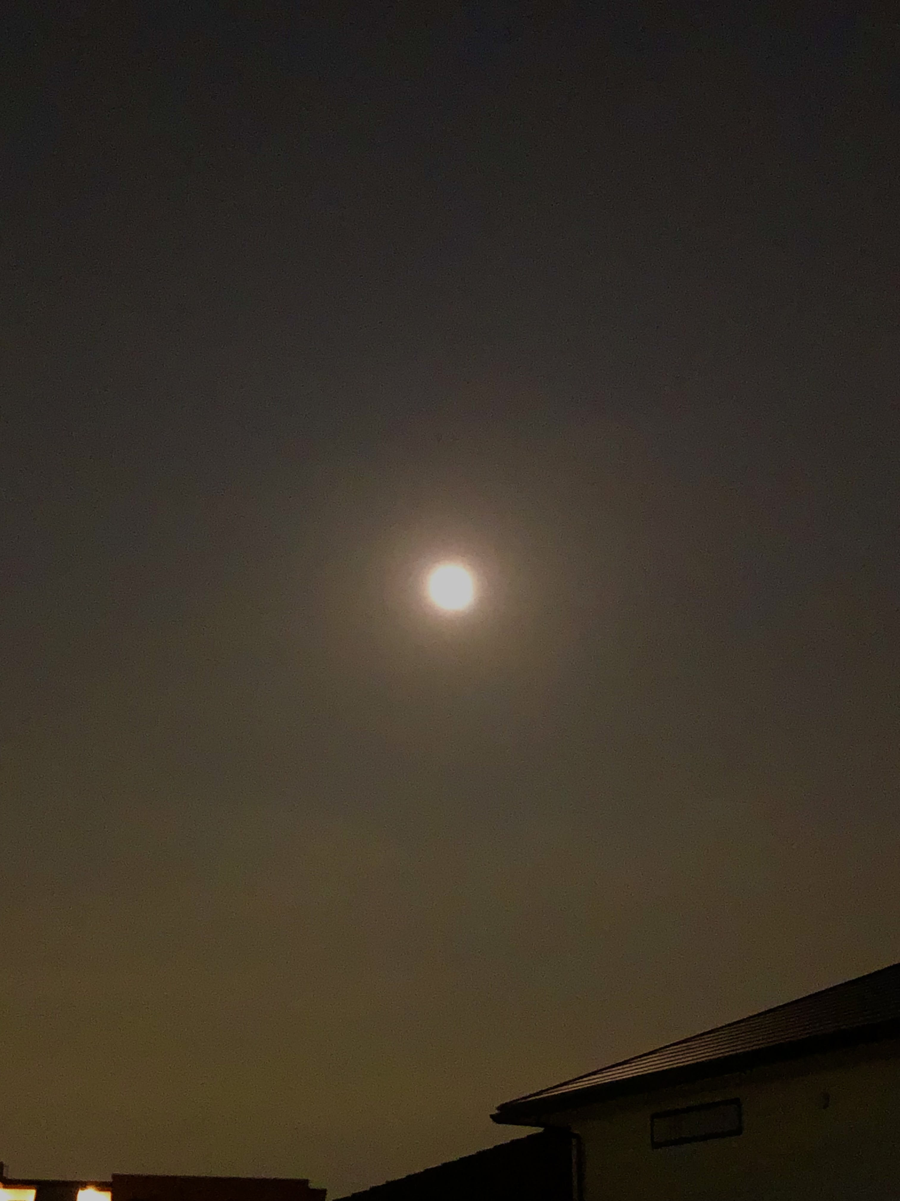 今日はさそり座の満月