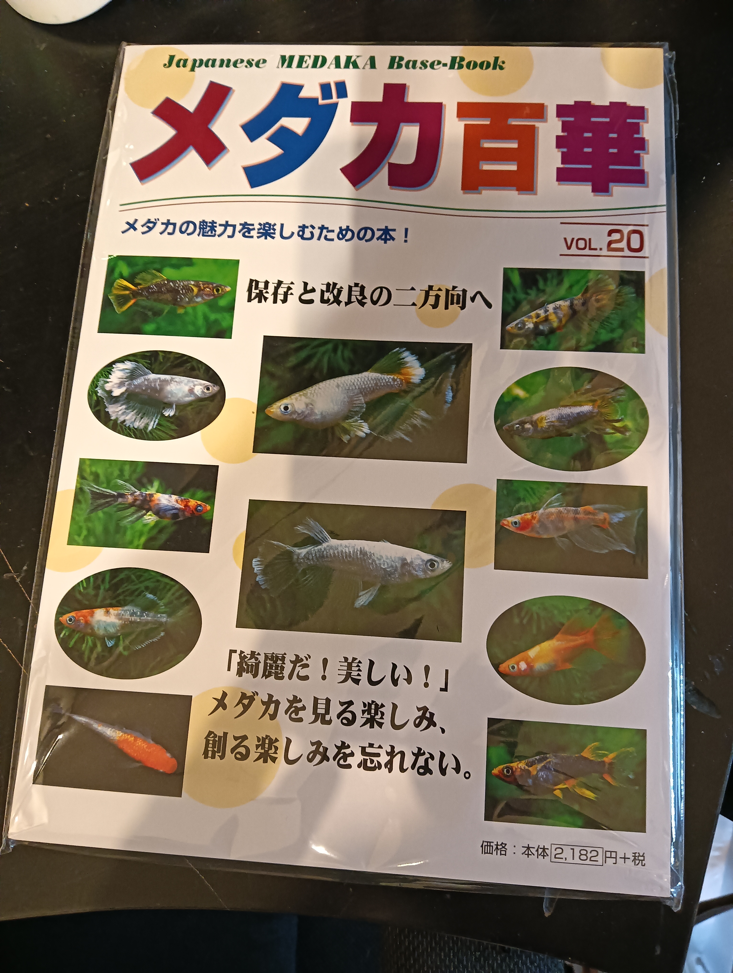 メダカ百華VOL.20買っちゃった✨