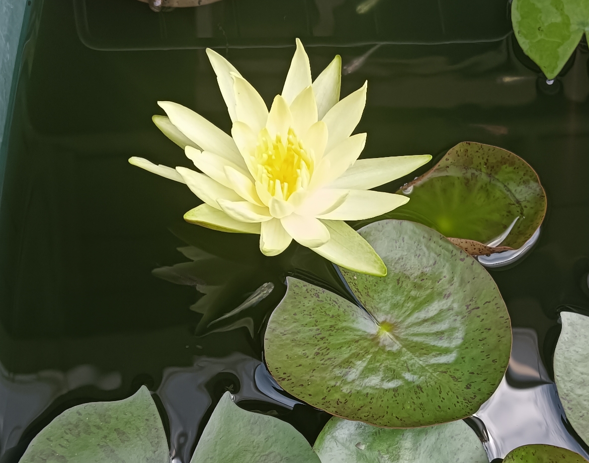 ヤバい…暑さ…💦