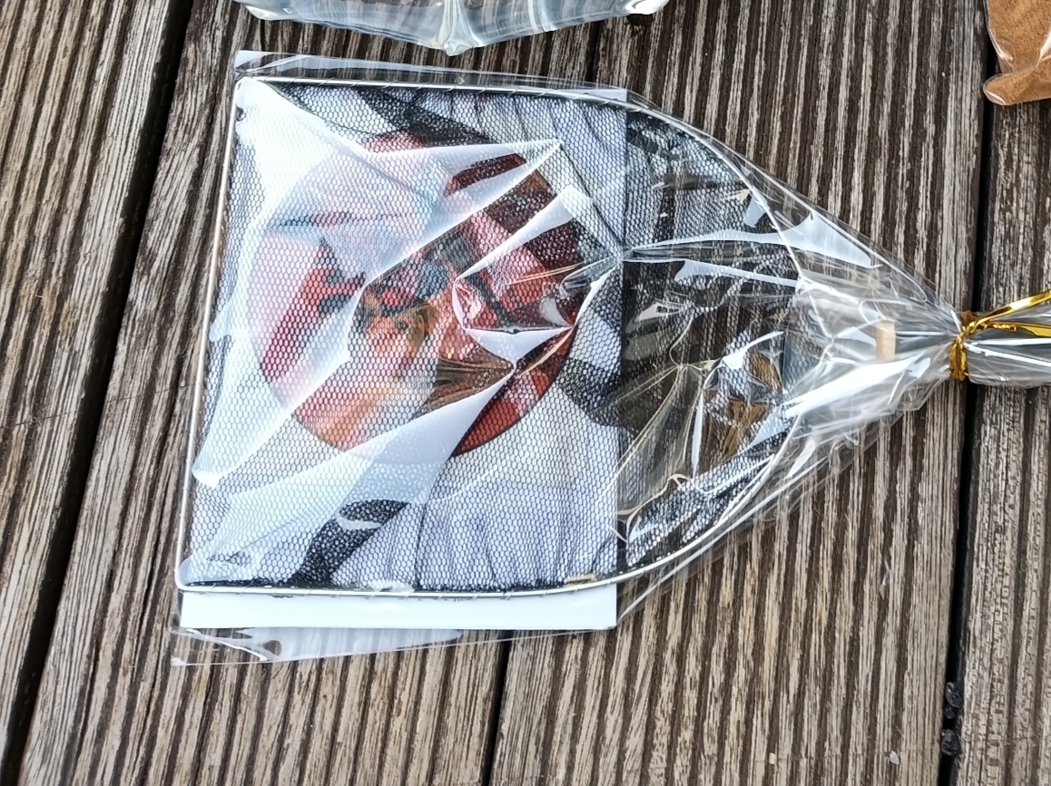 結局…NEWタモ網購入…😓