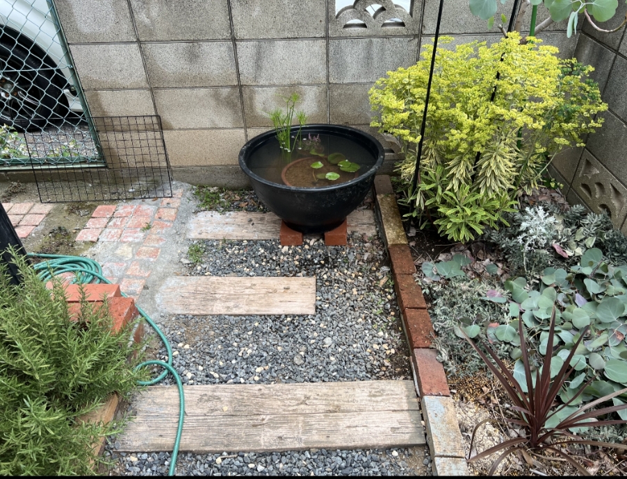 メダカ受け入れ準備完了✨