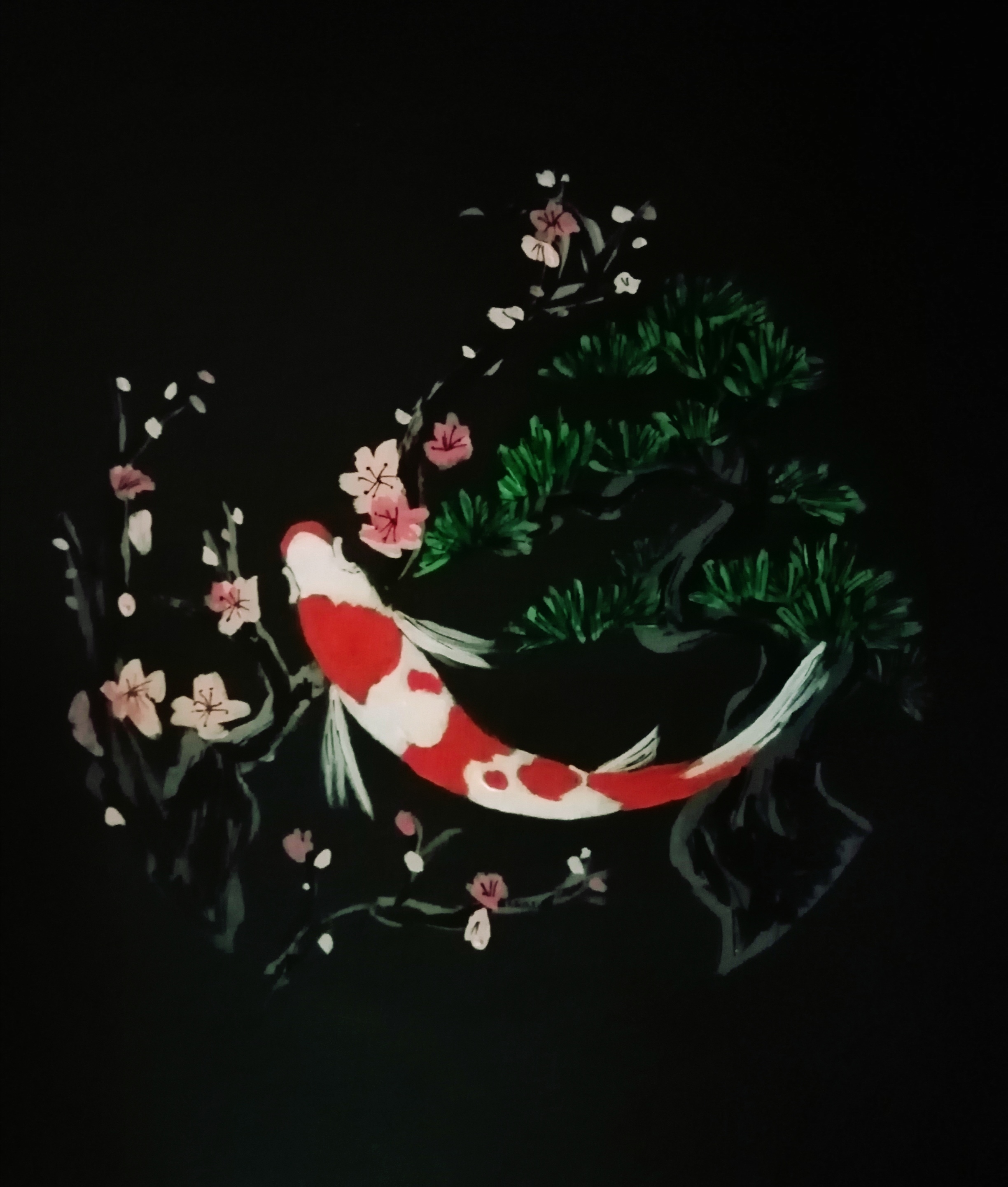 紅白メダカ画