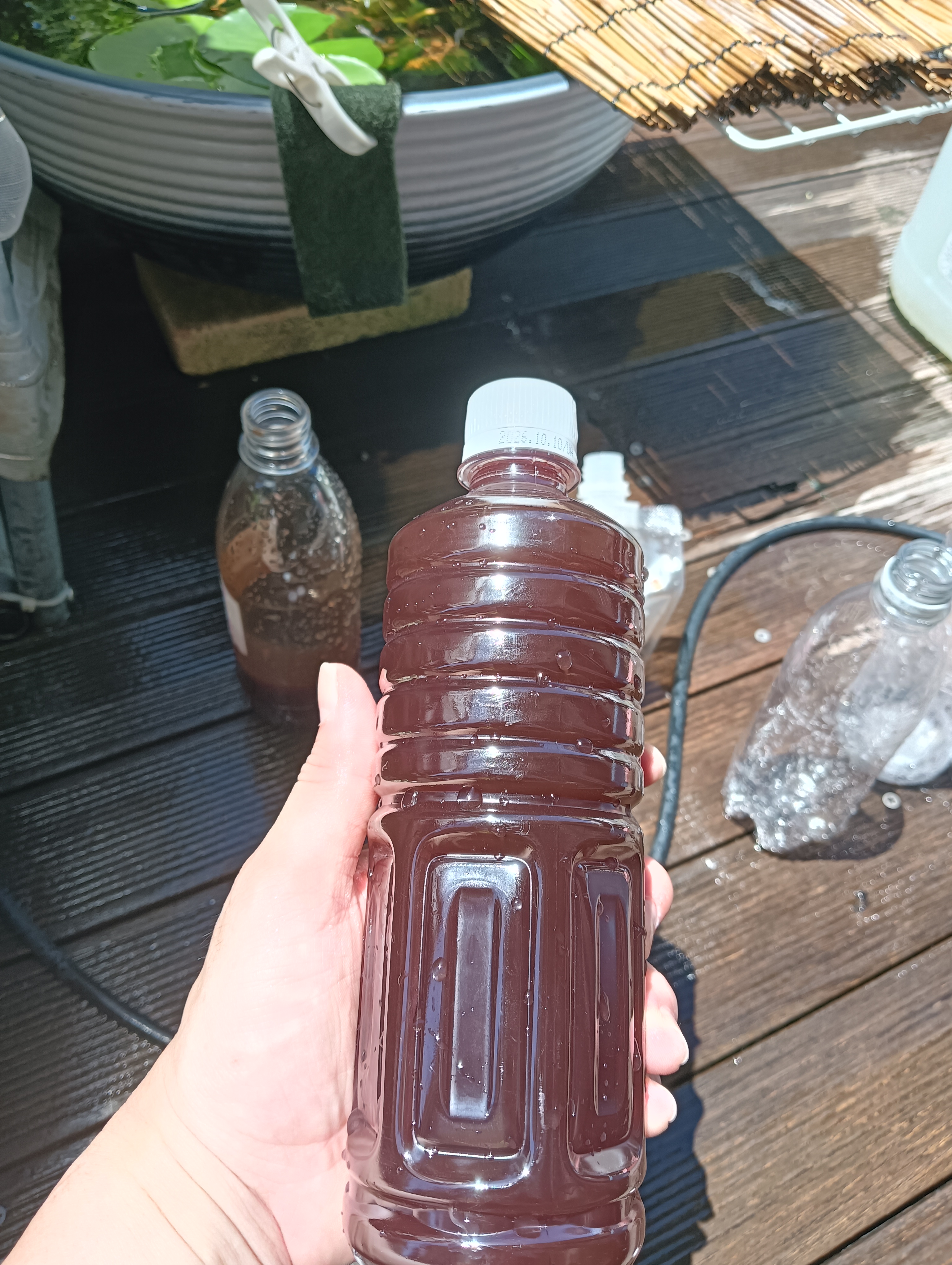 暑いからこそ…培養!!✨