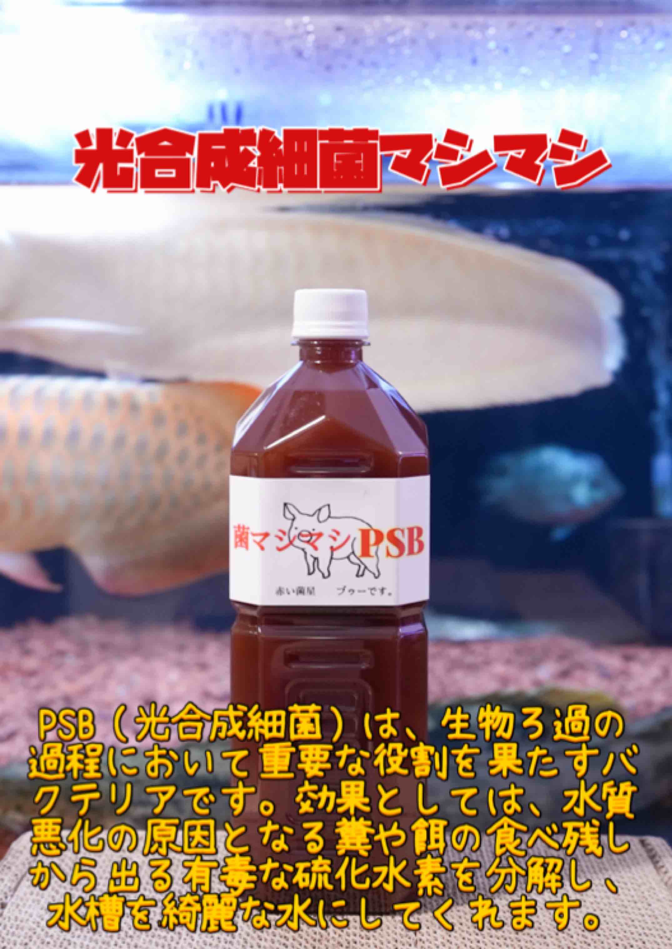 菌マシマシPSBを更なるパワーアップさせるために。